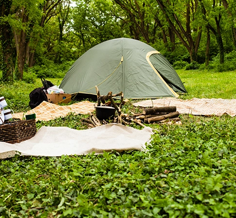 Vajilla compostable en camping