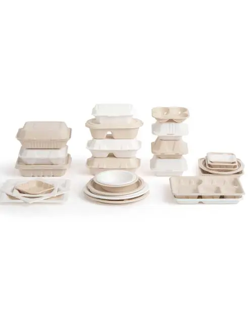 Sostenibilidad del paquete de alimentos compostables de Luzhou