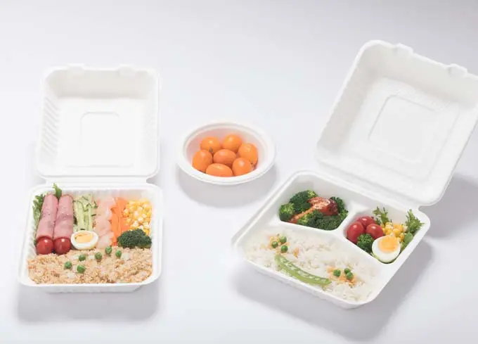 Contenedor compostable frente a contenedores tradicionales: una comparación