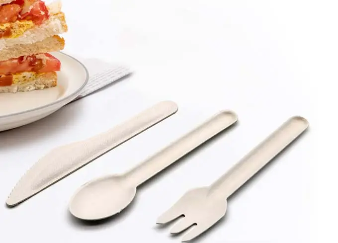 Las ventajas de los cubiertos compostables de Luzhou Pack sobre otros cubiertos