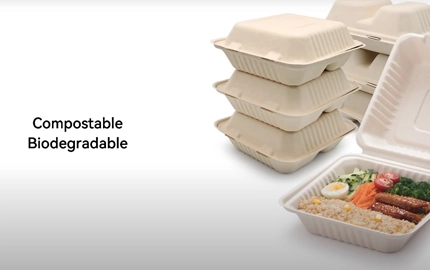 Contenedor biodegradable de concha de fibra de bagazo