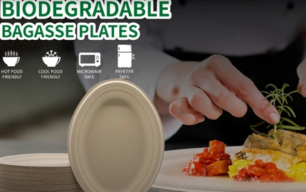 Placa redonda de fibra de planta biodegradable