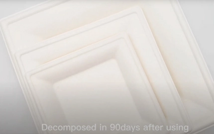 Placa cuadrada a base de planta de bagazo compostable