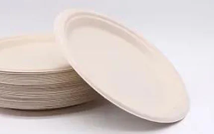 Placa ovalada de fibra de bagazo desechable compostable
