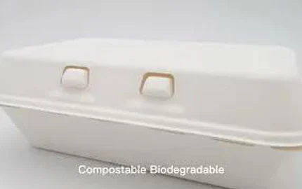 Caja de concha desechable biodegradable de 900ml de LZ-0188