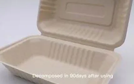 Caja de concha desechable a base de plantas de fibra de bagazo biodegradable sostenible 900ml