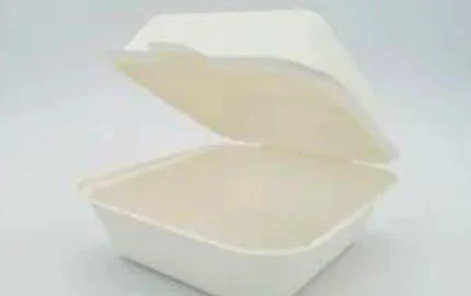 Bagazo desechable biodegradable 6 pulgadas hamburguesa caja de concha