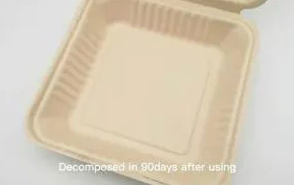 Caja de concha de 9 pulgadas a base de plantas de bagazo de caña de azúcar biodegradable sostenible