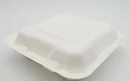Caja de pasta de fibra ecológica para llevar 8 pulgadas