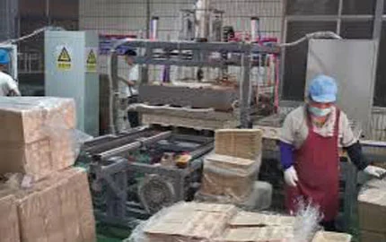 Máquina de laminación de producción de vídeo 1