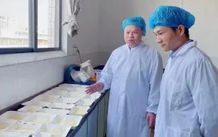 Video en vivo de la base de producción 3-1