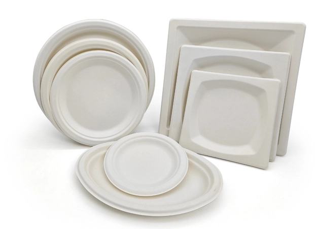 Placa compostable