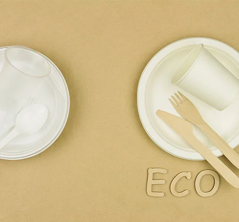 Vajilla compostable para el consumidor