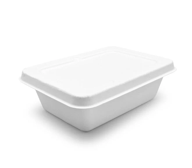 compostable containers with lids