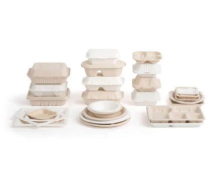 Placas compostables: capacidad de microondas, contenido de flúor e implicaciones para la salud Placas compostables: capacidad de microondas, contenido de flúor e implicaciones para la salud