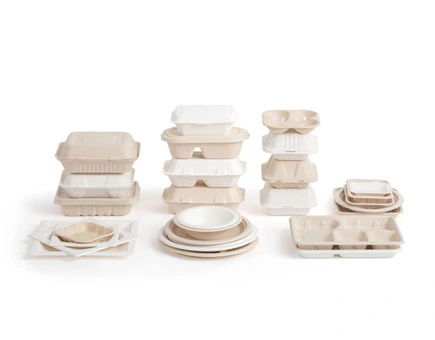Futuro verde: la importancia de los contenedores biodegradables para llevar al por mayor Futuro verde: la importancia de los contenedores biodegradables para llevar al por mayor