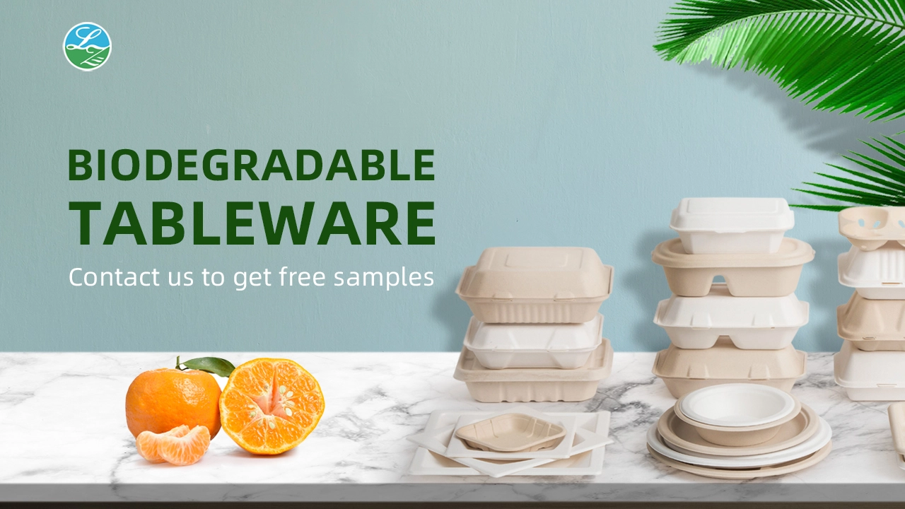 Las ventajas de ofrecer un desayuno continental en su hotel con productos Luzhou-Pack Las ventajas de ofrecer un desayuno continental en su hotel con productos Luzhou-Pack