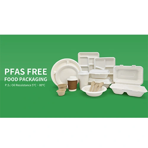 Enviro-Packs: Revelando el reino vertical de los contenedores biodegradables para llevar al por mayor Enviro-Packs: Revelando el reino vertical de los contenedores biodegradables para llevar al por mayor