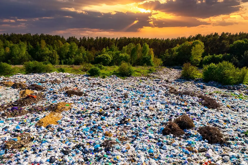 Dar una posición por el medio ambiente: diga no al plástico y abrace la sostenibilidad Dar una posición por el medio ambiente: diga no al plástico y abrace la sostenibilidad