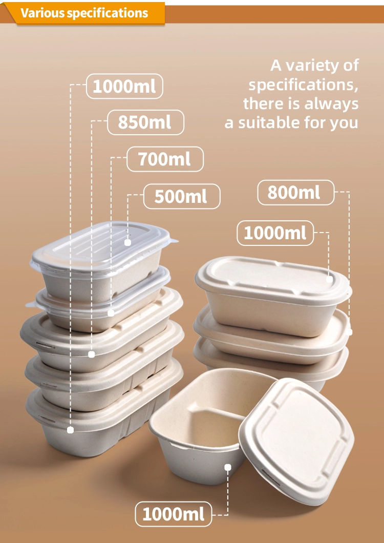 Ecológicamente iluminado: revelar el mundo mayorista de contenedores de alimentos biodegradables Ecológicamente iluminado: revelar el mundo mayorista de contenedores de alimentos biodegradables